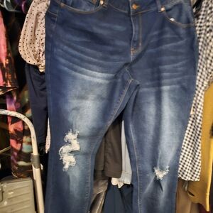 Toxica Distressed Women's Jeans